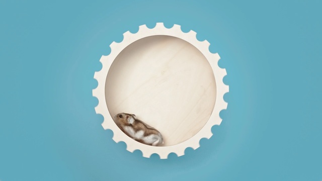 Video Reference: Circle, Bottle cap, Beige