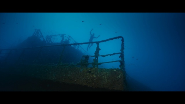 Video Reference: blue, underwater, water, shipwreck, atmosphere, sea, reef, darkness, marine biology, screenshot