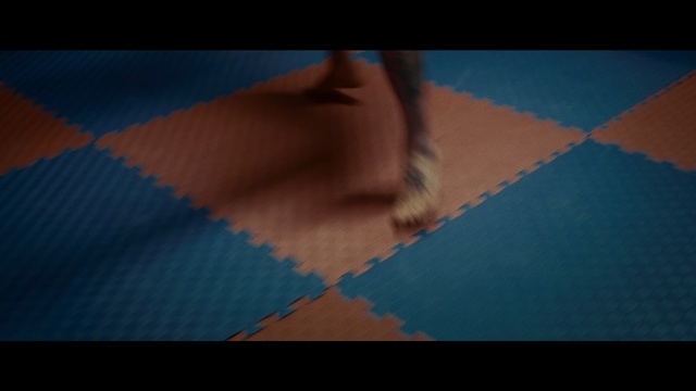 Video Reference: Blue, Photograph, Sky, Azure, Turquoise, Line, Hand, Muscle, Photography, Back, Sitting, Table, Orange, Laying, Bed, Water, Red, Ball, Room, Cat, Man, Screenshot