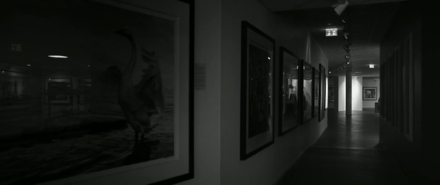 Video Reference: Black, White, Black-and-white, Photograph, Monochrome, Monochrome photography, Snapshot, Darkness, Photography, Room