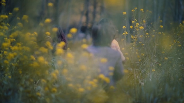 Video Reference: People in nature, Yellow, Nature, Green, Blue, Light, Grass, Spring, Flower, Wildflower