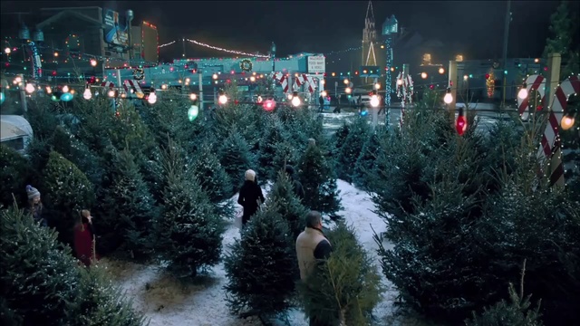 Video Reference: Christmas tree, Tree, Lighting, Night, Crowd, Fir, Street light, Urban area, Christmas, Christmas lights