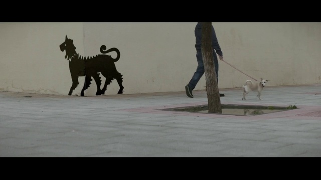 Video Reference: Canidae, Dog, Dog breed, Fun, Photography, Goats, Art, Wildlife, Non-Sporting Group