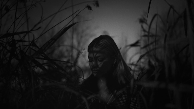 Video Reference: Black, Darkness, Black-and-white, Monochrome, Monochrome photography, Beauty, Sky, Photography, Branch, Tree