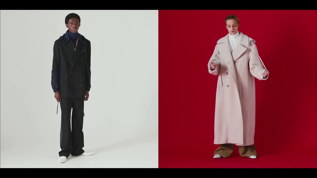 Video Reference: Clothing, Formal wear, Suit, Standing, Outerwear, Fashion, Coat, Sleeve, Uniform, Collar