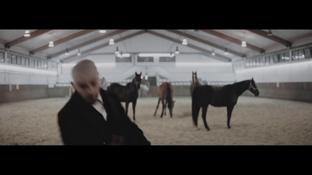 Video Reference: Horse, Mammal, Vertebrate, Mane, Stallion, Halter, Mare, Pack animal, Bridle, Horse harness, Person, Indoor, Man, Dog, Standing, Front, Woman, People, Black, White, Holding, Plane, Large, Airplane, Riding, Group, Animal