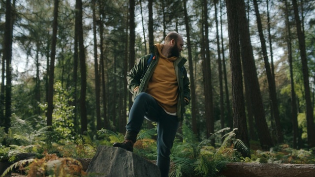 Video Reference: People in nature, Forest, Woodland, Natural environment, Tree, Wilderness, Old-growth forest, Biome, Northern hardwood forest, Woody plant, Outdoor, Person, Wood, Man, Jumping, Air, Young, Snow, Woman, Riding, Doing, Green, Cross, Board, Hill, Wearing, Covered, Black, Flying, Ramp, Walking, Trick, Skiing, Standing, Clothing, Hiking, Footwear, Jeans, Jacket, Plant, Trousers, Wooded