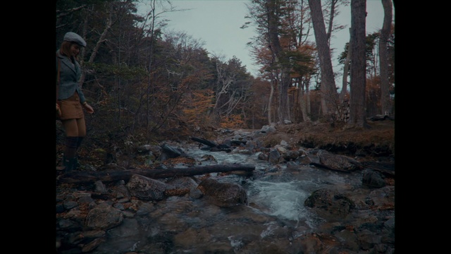 Video Reference: Nature, Wilderness, Natural environment, Water, Forest, Natural landscape, Stream, Biome, Tree, Watercourse, Person