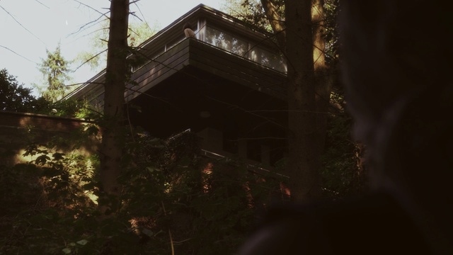 Video Reference: tree, house, darkness, plant, night, forest, sky, building