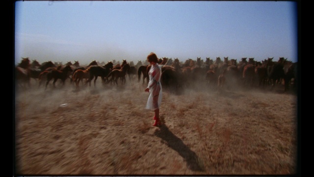 Video Reference: Camel, Landscape, Adaptation, Steppe, Screenshot