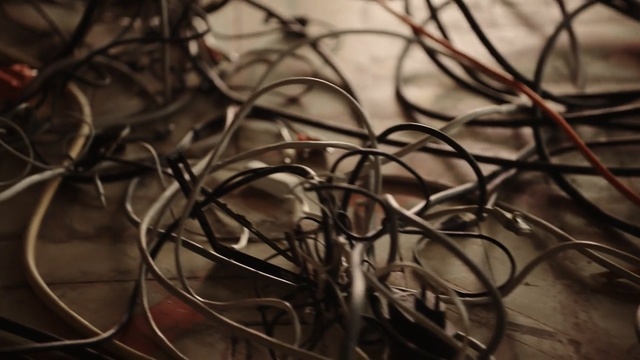 Video Reference: Branch, Wire, Twig, Close-up, Technology, Plant, Tree, Electronic device, Still life photography, Photography, Person