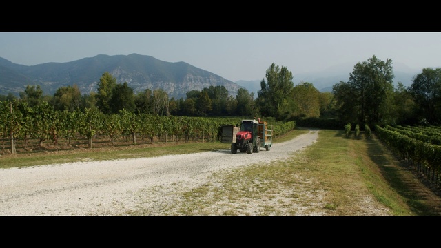 Video Reference: Vehicle, Mode of transport, Rural area, Road, Car, Farm, Field, Dirt road, Landscape, Grassland