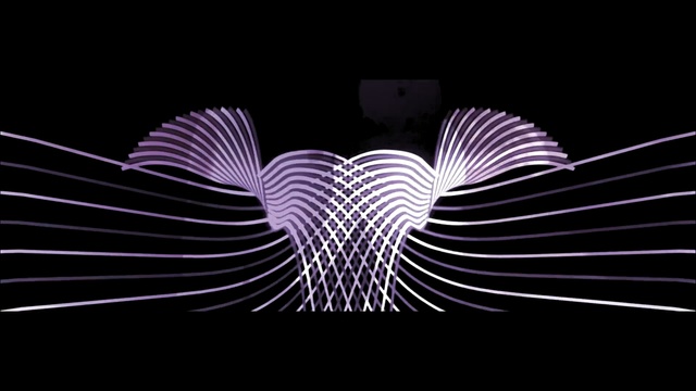 Video Reference: black, black and white, light, monochrome photography, darkness, wing, monochrome, line, computer wallpaper, symmetry