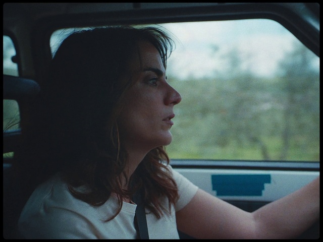 Video Reference: Face, Head, Beauty, Driving, Vehicle door, Automotive mirror, Photography, Rear-view mirror, Window, Auto part