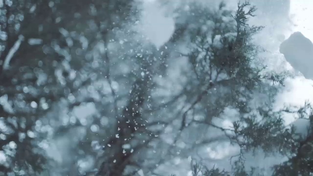 Video Reference: Nature, Branch, Tree, Water, Atmospheric phenomenon, Sky, Freezing, Atmosphere, Snow, Cloud