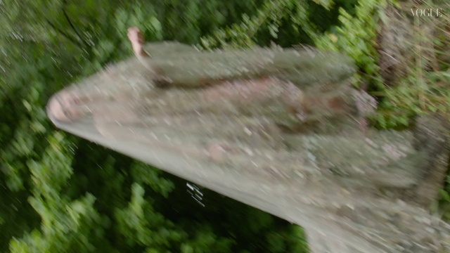 Video Reference: Wood, Organism, Grass, Terrestrial plant, Natural material, Water, Trunk, Liquid, Nature reserve, Tail