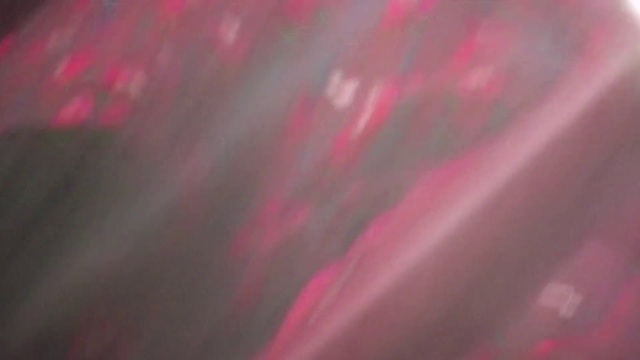 Video Reference: Pink, Red, Magenta, Light, Violet, Close-up, Sky, Macro photography, Textile, Photography