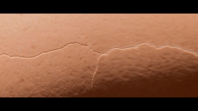 Video Reference: skin, close up, line, ecoregion, landscape