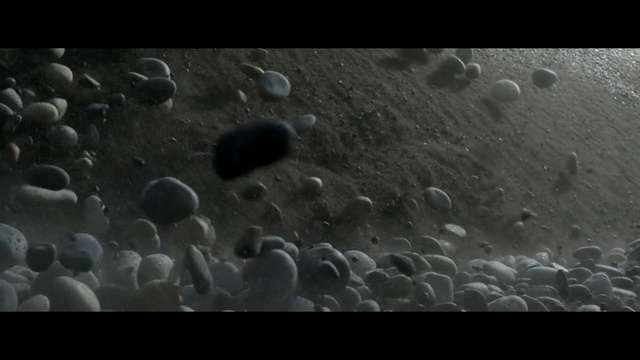 Video Reference: Organism, Water, Rock