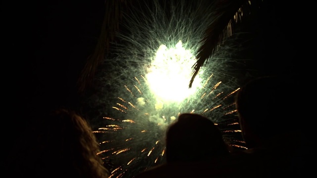 Video Reference: Fireworks, New Years Day, Light, Darkness, Diwali, Night, Midnight, Holiday, Event, New years eve