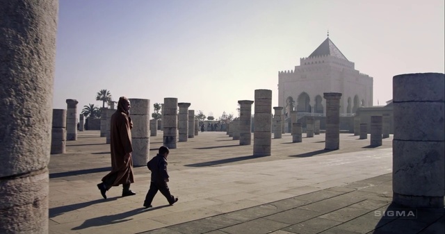 Video Reference: Atmospheric phenomenon, Sky, Standing, Urban area, Snapshot, City, Metropolitan area, Architecture, Tourism, Tree