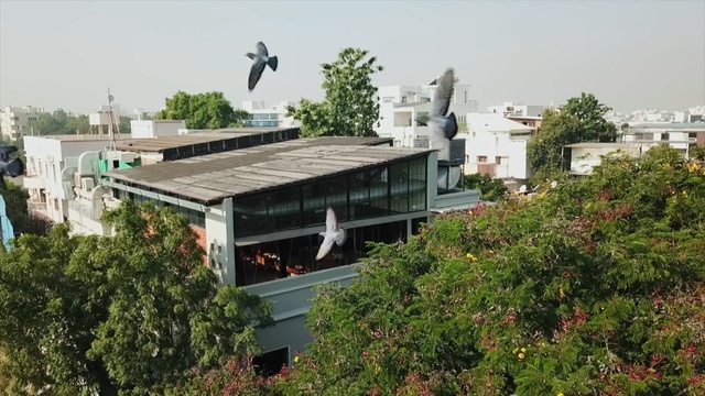 Video Reference: Roof, Architecture, Building, House, Urban design, Landscape, Plant, Residential area, City, Person