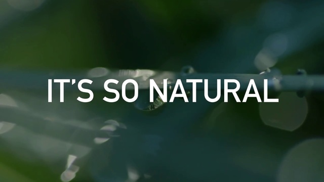 Video Reference: Green, Nature, Water, Macro photography, Font, Text, Vegetation, Leaf, Organism, Grass