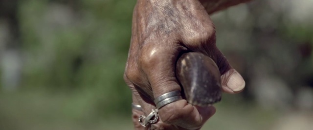 Video Reference: Hand, Finger, Nose, Snout, Human, Adaptation, Close-up, Organism, Thumb, Gesture