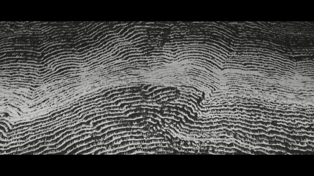 Video Reference: black, black and white, monochrome photography, text, pattern, monochrome, photography, water, line, organism