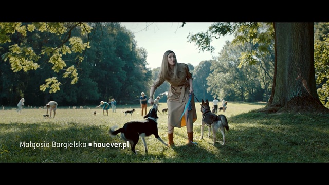 Video Reference: Vertebrate, Mammal, Dog, Canidae, Dog breed, Carnivore, Dog walking, Sporting Group, Hunting dog, Obedience training