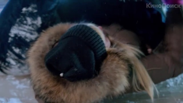 Video Reference: mammal, snout, fur, dog breed group, Person