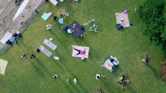 Video Reference: aerial photography, green, grass, lawn, plant, biome, tree, landscape, games, grassland