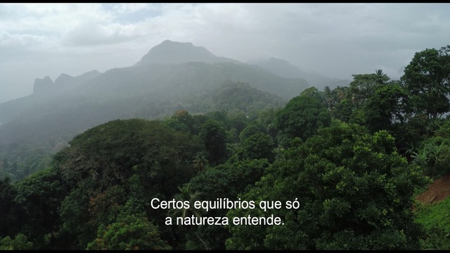 Video Reference: Hill station, Vegetation, Highland, Mountainous landforms, Nature, Forest, Rainforest, Mountain, Nature reserve, Jungle