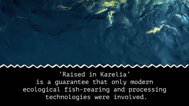 Video Reference: Water, Text, Organism, Marine biology, Adaptation, Font, Earth, World, Ocean