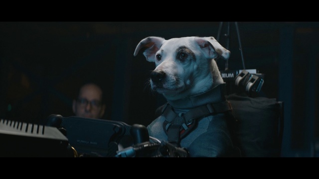 Video Reference: Dog breed, Canidae, Snout, Screenshot, Photography, Fictional character, Movie, Darkness, Music