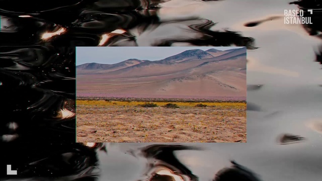 Video Reference: Ecoregion, Plant, Nature, Gesture, Grass, Landscape, Grassland, Font, Mountainous landforms, Geological phenomenon