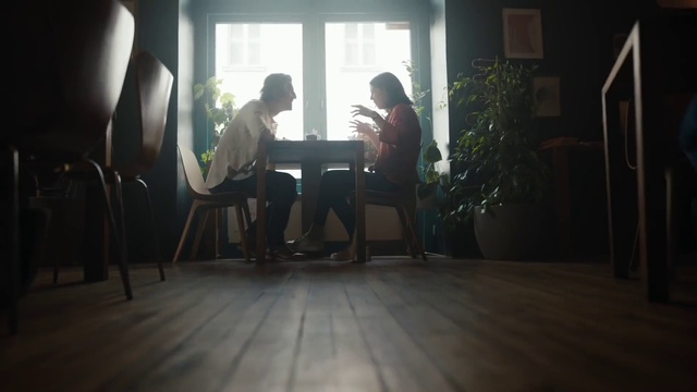 Video Reference: Plant, Window, Dress, Wood, Building, Chair, House, Floor, Flooring, Houseplant