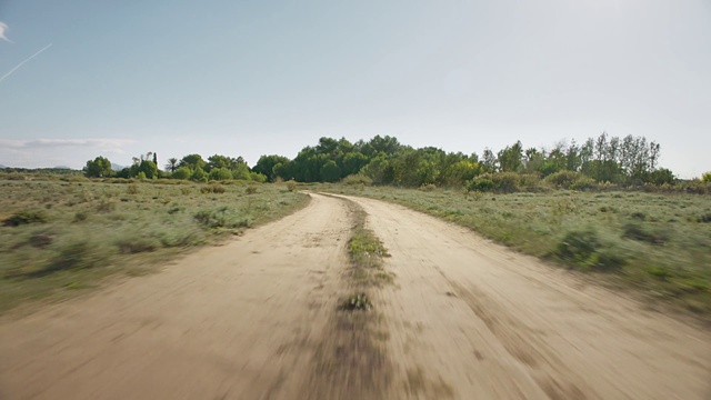 Video Reference: Sky, Plant, Plant community, Tree, Road surface, Natural landscape, Asphalt, Grassland, Horizon, Plain