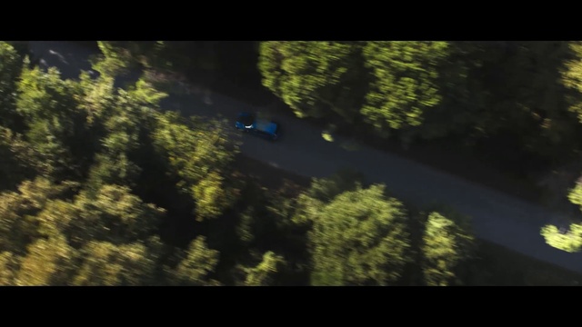 Video Reference: Atmosphere, Plant, Natural landscape, Terrestrial plant, Rectangle, Grass, Tints and shades, Landscape, Trunk, Forest