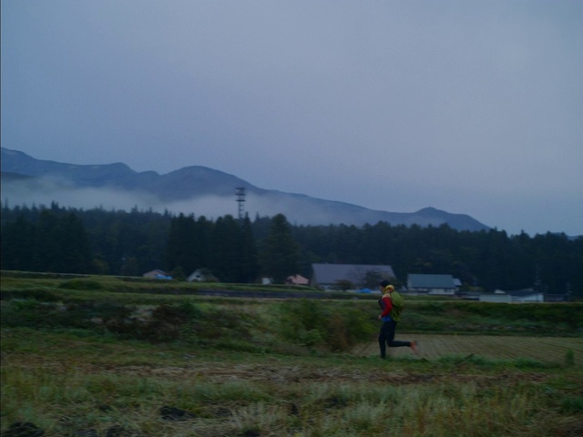 Video Reference: Plant, Sky, Mountain, Tree, Cloud, Grassland, Plain, Natural landscape, Horizon, Landscape