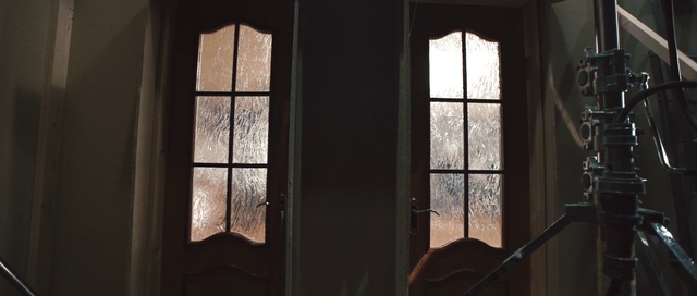 Video Reference: Window, Fixture, Wood, Plant, Sunlight, Building, Material property, Glass, Tints and shades, Tree