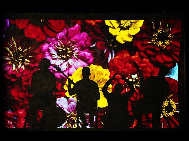 Video Reference: Flower, Rectangle, Petal, Organism, Creative arts, Art, Font, Magenta, Tints and shades, Painting
