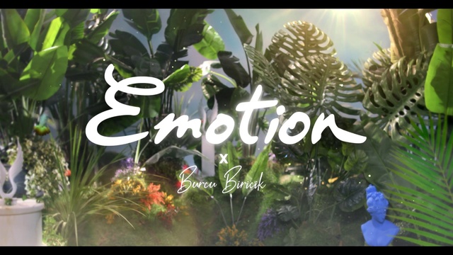 Video Reference: Plant, Plant community, Terrestrial plant, Organism, Grass, Natural landscape, Font, Biome, Landscape, Adaptation