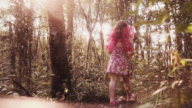 Video Reference: Plant, People in nature, Wood, Flash photography, Natural landscape, Branch, Tree, Happy, Twig, Trunk