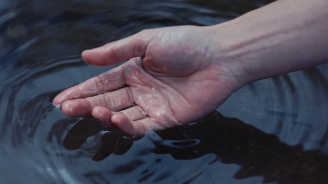 Video Reference: hand, water, wet, close-up, ripple, reflection, skin, palm, gesture, nature, minimal, abstract