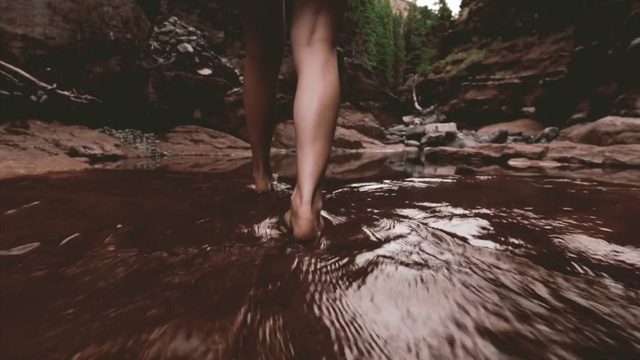 Video Reference: Water, Water resources, Plant, Leg, Human body, Wood, People in nature, Flash photography, Branch, Watercourse
