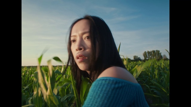 Video Reference: Sky, Plant, Cloud, People in nature, Flash photography, Happy, Eyelash, Grass, Sunlight, Grassland