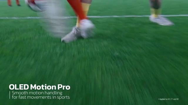 Video Reference: Footwear, Plant, Sports equipment, Leg, Football, Ball, Grass, Knee, Flooring, Soccer ball