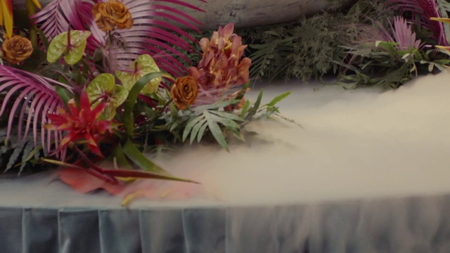 Video Reference: Flower, Plant, Leaf, Nature, Petal, Grass, Creative arts, Flower Arranging, Artificial flower, Art