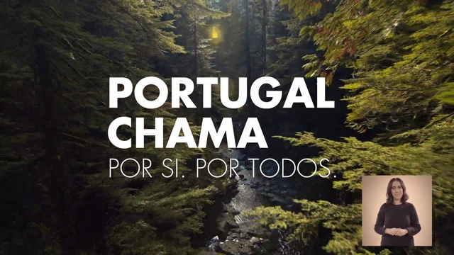 Video Reference: Plant, Photograph, Light, People in nature, Nature, Natural landscape, Botany, Tree, Vegetation, Organism